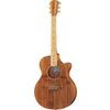 Cole Clark AN2EC-BLBL-SB Satin Box Fretb.