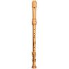 Mollenhauer 5431C Denner Tenor with Key