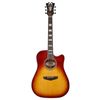 DAngelico Premier Bowery Iced Tea Burst