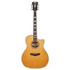 DAngelico Premier Gramercy Vintage NT