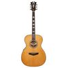 DAngelico Premier Tammany Vintage NT