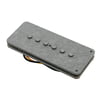 Seymour Duncan Antiquity II Jazzmaster Neck