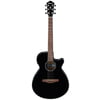 Ibanez AEG50-BK