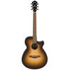 Ibanez AEG50-DHH