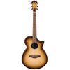 Ibanez AEWC11-NNB