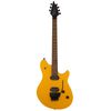 Evh Wolfgang WG Std TCY