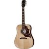 Gibson Hummingbird Studio Rosewood AN