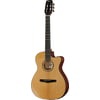Cort Gold OC8N Nylon