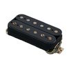 Raw Vintage RV-PAF F-Spaced AGED BLK