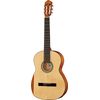 DEA Guitars Student Spruce 4/4