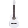 DEA Guitars Flamenco S/M W-CE