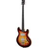 Warwick Teambuilt Thumb SklarBass VST
