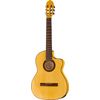 Gewa Pro Arte Flamenco YW E-A