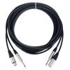 Fischer Amps Guitar-InEar-Cable 6m