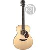 Furch Blue Plus G-SA w/LRBaggs