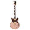 DAngelico Deluxe Brighton LTD Matte RG