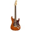 Fender Limited Player Strat Aged Nat.