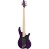 Dingwall NG3 Nolly Sig.5 Purple