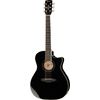 Framus FG 14 S Grand Auditorium LS