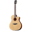 Framus FG 14 SV GA Legacy Series