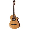 Alhambra CS-LR CW E1 incl. Gig Bag