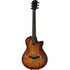 Taylor T5z Classic Sassafras
