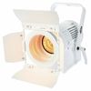 ADJ Encore FR20 DTW WH