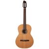 Godin Etude