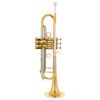 Carol Brass CTR-5260H-GSS-Bb-L