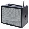 Elite Acoustics D6-58 Acoustic Amplifier