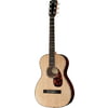 Larrivee P-09 Parlor Rosewood