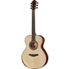 Furch Red Deluxe G-LC