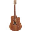 Cole Clark Fat Lady FL2EC-BLBL-Hum