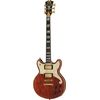 DAngelico Deluxe Brighton LTD Matte WN