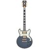 DAngelico Deluxe Brighton LTD Charcoal
