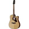 Ibanez AAD300CE-LGS