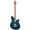 Evh Wolfgang Special QM Chlorine