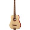 Traveler Guitar Redlands Dreadnought 105E NT