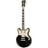 DAngelico Premier Brighton Black Flake