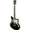DAngelico Premier Bedford Black Flake