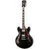 DAngelico Premier DC Black Flake