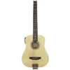 Traveler Guitar Traveler Acoustic AG-105E