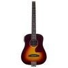 Traveler Guitar Traveler Acoustic AG-450 E