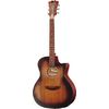 DAngelico Premier Gramercy LS Aged Mah
