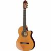 Alhambra 9P CW E8 w/Case