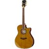 DAngelico Excel Gramercy XT Vintage Nat