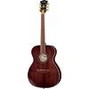 DAngelico Excel Tammany XT Walnut Stain