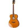 DAngelico Excel Tammany XT VNT