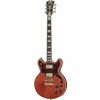 DAngelico Deluxe Brighton Matte Walnut