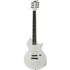 ESP LTD EC Arctic Metal SWS